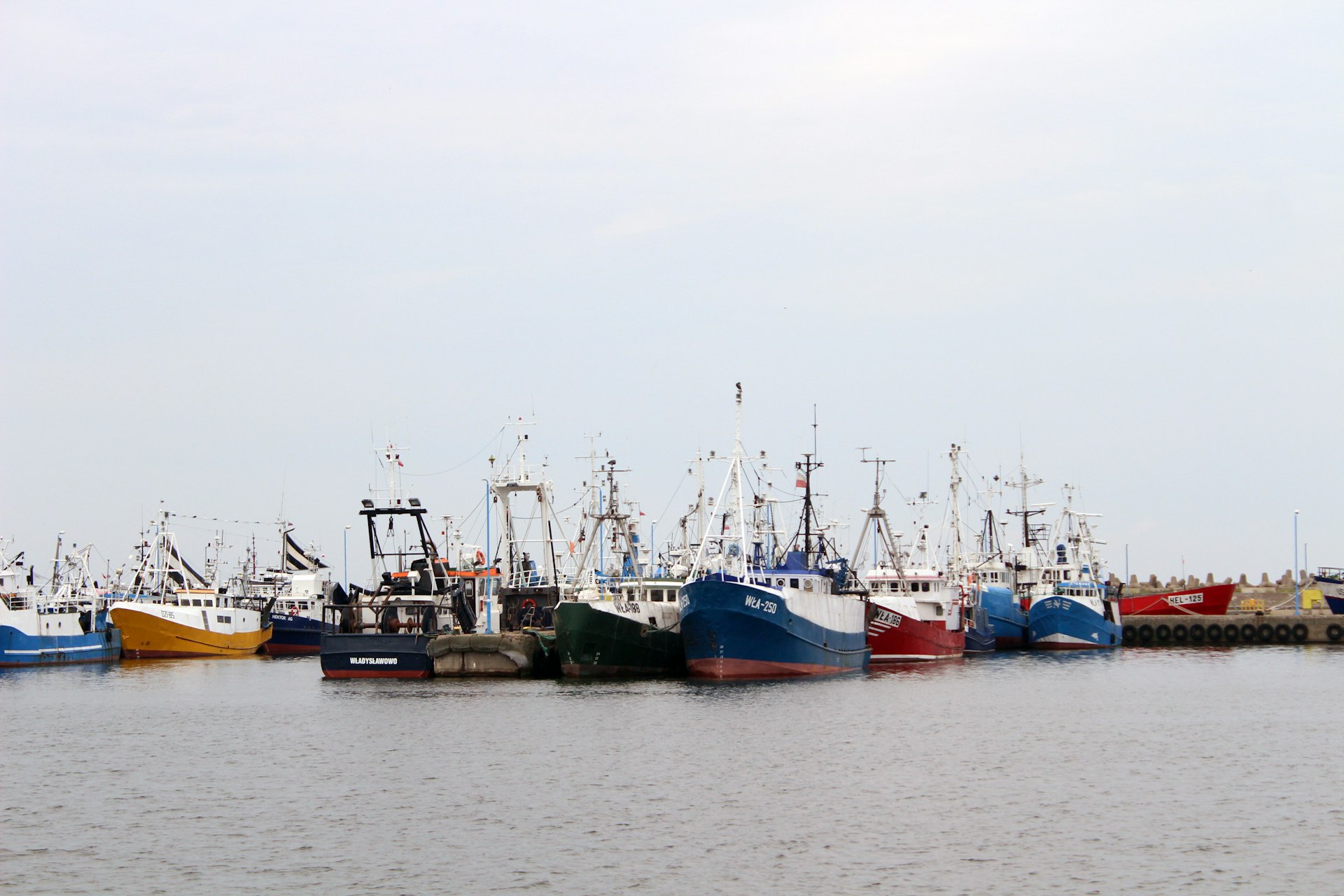 Effective Strategies for Sustainable Fisheries Management: Practical Approaches and Real-World Successes Effective Strategies for Sustainable Fisheries Management: Practical Approaches and Real-World Successes
