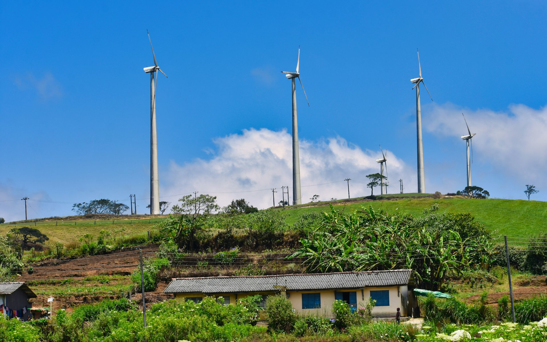 Unlocking Green Finance: How Innovative Initiatives Drive Climate Projects Forward Unlocking Green Finance: How Innovative Initiatives Drive Climate Projects Forward